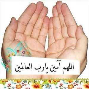 Meet your Posher, Rahma